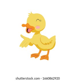 Duck Animal Cartoon Vector Illustration 