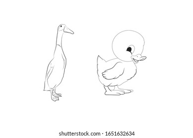 Duck Animal Cartoon Vector Outline Illustration