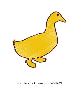 duck animal farm isolated icon vector illustration design