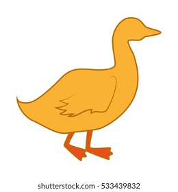 duck animal farm isolated icon