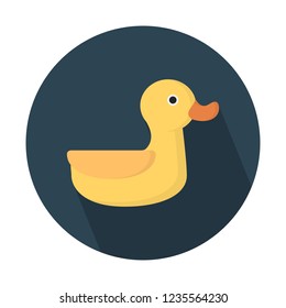 Duck, aquatic bird