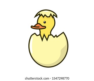 A Duck Baby Emerges and Hatching from the Egg
