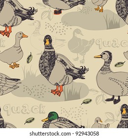Duck background