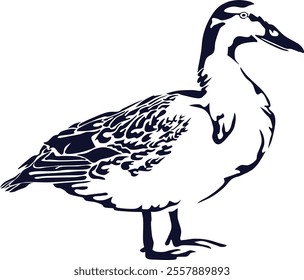 Duck Bird Animal Shilhouette Vector