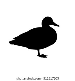 Duck bird black on white vector silhouette