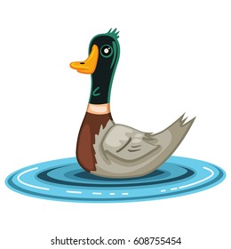 Duck bird cartoon vector illustration isolated on white background.
