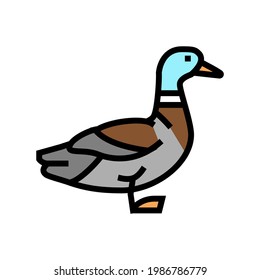 duck bird color icon vector. duck bird sign. isolated symbol illustration