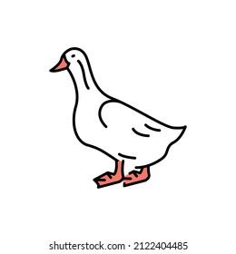 Duck bird color line icon. Pictogram for web page, mobile app, promo.