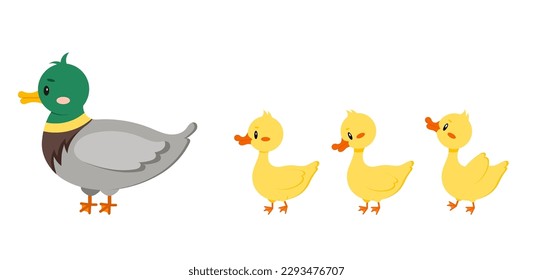 Pájaro pato con patito aislado en fondo blanco. Pájaro materno de granja con diseño de dibujos animados de diseño plano de bebé ilustraciones vectoriales. Divertida familia de patos de aves de corral.