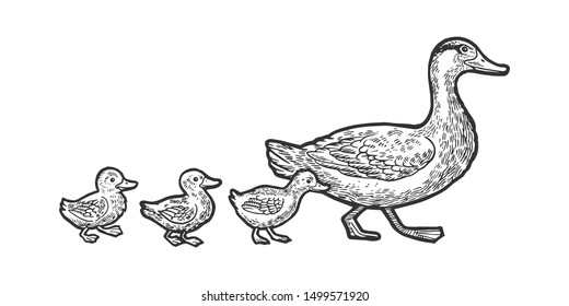 duckling clipart black and white