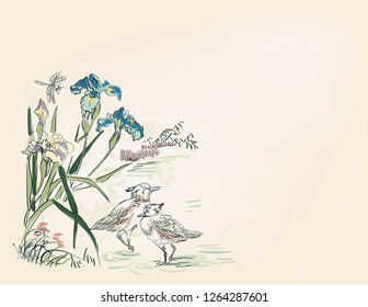 duck bird iris flower nature landscape view vector sketch illustration japanese chinese oriental line art ink card background
