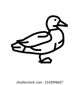 duck bird line icon vector. duck bird sign. isolated contour symbol black illustration