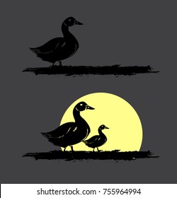 Duck Birds Going Back to Home in Evening Vector
