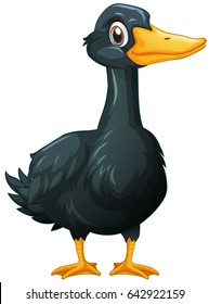 Ilustración de plumas negras