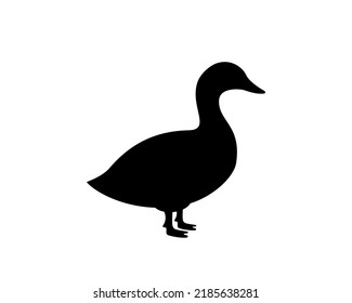 Entenschwarze Silhouette. Entensymbol. Kanarenvogelsilhouette. Farm-Vogel-Symbol einzeln auf weißem Hintergrund.