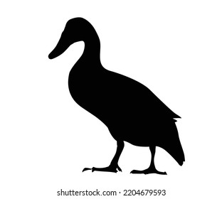 Duck black silhouette vector on a white background.Duck vector icon.the figure shows the duck.