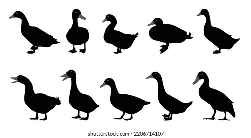 Duck black silhouette vector on a white background.Duck vector icon.the figure shows the duck.