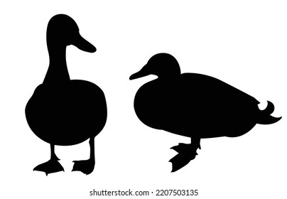 Duck black silhouette vector on a white background.Duck vector icon.the figure shows the duck.