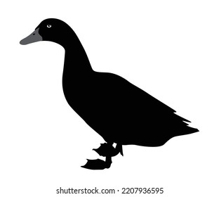 Duck black silhouette vector on a white background.Duck vector icon.the figure shows the duck.