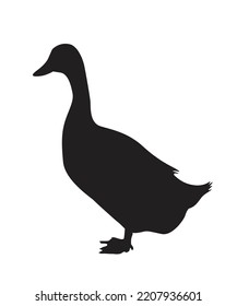 Duck black silhouette vector on a white background.Duck vector icon.the figure shows the duck.