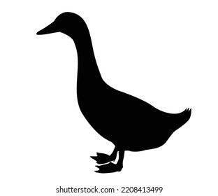 Duck black silhouette vector on a white background.Duck vector icon.the figure shows the duck.