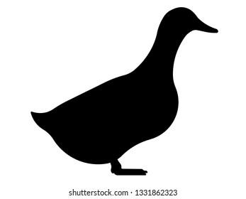 Duck. Black vector silhouette.
