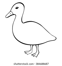 Duck black white bird isolated illustration vector