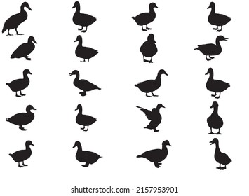 duck black and white vector.eps