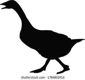 vector de silueta de cuerpo de pato