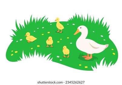 Duck with brood of ducklings grazing in a green meadow. Simple flat illustration