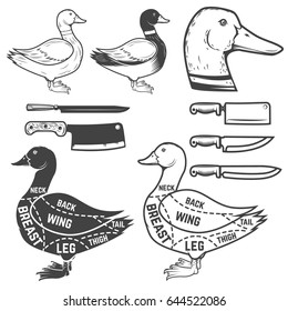 Duck butcher diagram. Design element for poster, menu. Vector illustration