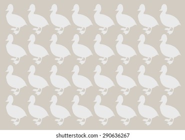 duck canard vector