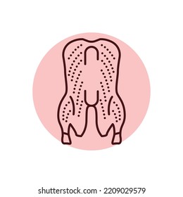 Duck carcass color line icon. Cutting meat. Pictogram for web page, mobile app, promo.