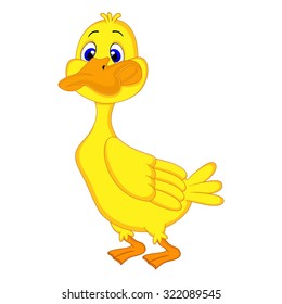 Duck Cartoon