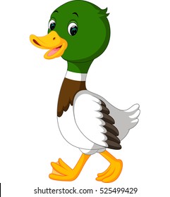 duck cartoon