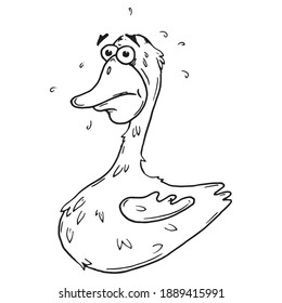 Duck character. Vector cartoon frightened duck.