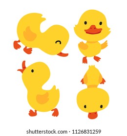 duck character vector design