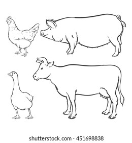 Duck and chicken isolated on a white background. Hand drawn sketch style cow and pig outline set. vector illustration. 