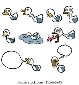 duck color