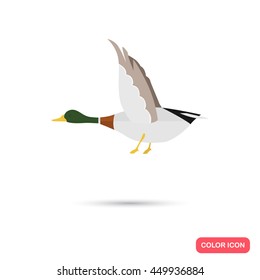 Duck color flat icon