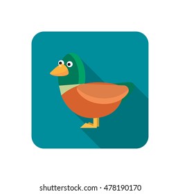 Duck color flat icon