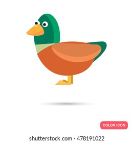 Duck color flat icon