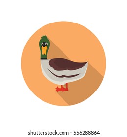 Duck color flat icon for web and mobile design