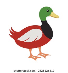 Duck color silhouette vector image art illustration.