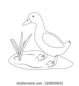 Duck coloring book vector stock illustration. Drawn in black and white. The contour of poultry. On the lawn. For preschool children. Isolated on a white background.