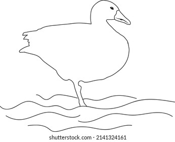 Duck Coloring Page Duck Line Art Stock Vector (royalty Free) 2141324161 