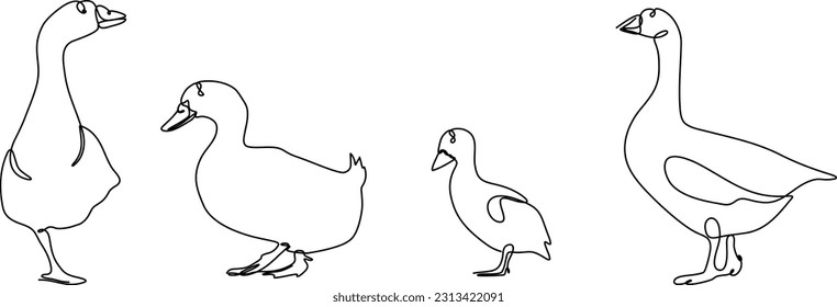 duck continuous line set illustration