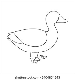 A duck Continuous single line drawing vector illustration. Continuous outline of Animal bird icon
