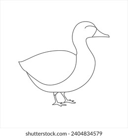 A duck Continuous single line drawing vector illustration. Continuous outline of Animal bird icon

