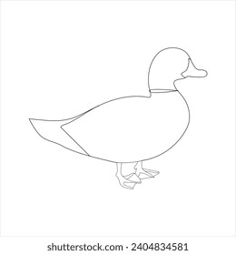 A duck Continuous single line drawing vector illustration. Continuous outline of Animal bird icon
